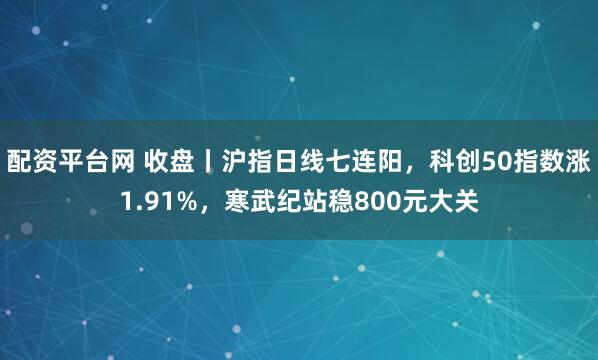 配资平台网 收盘丨沪指日线七连阳，科创50指数涨1.91%，寒武纪站稳800元大关