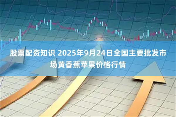 股票配资知识 2025年9月24日全国主要批发市场黄香蕉苹果价格行情