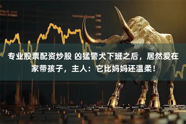 专业股票配资炒股 凶猛警犬下班之后，居然爱在家带孩子，主人：它比妈妈还温柔！